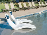 Tenjam Laylo In-Pool Lounger - photo 9